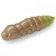 Pupa 1.5